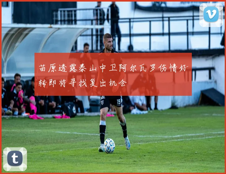苗原透露泰山中卫阿尔瓦罗伤情好转即将寻找复出机会